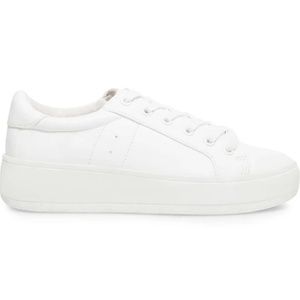 Steve Madden Bertie Sneakers